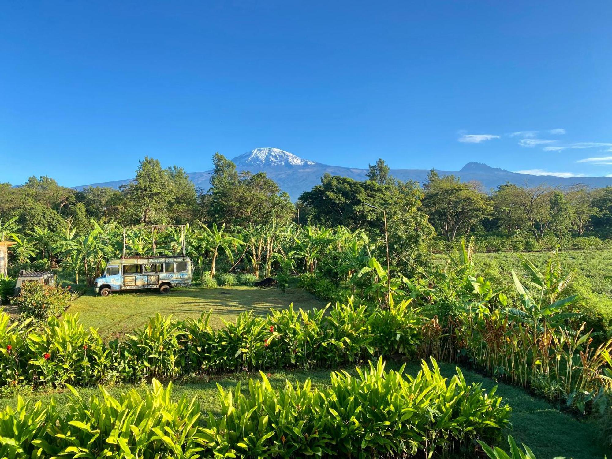 Mount Kilimanjaro 360 View Cottage Uru Bagian luar foto