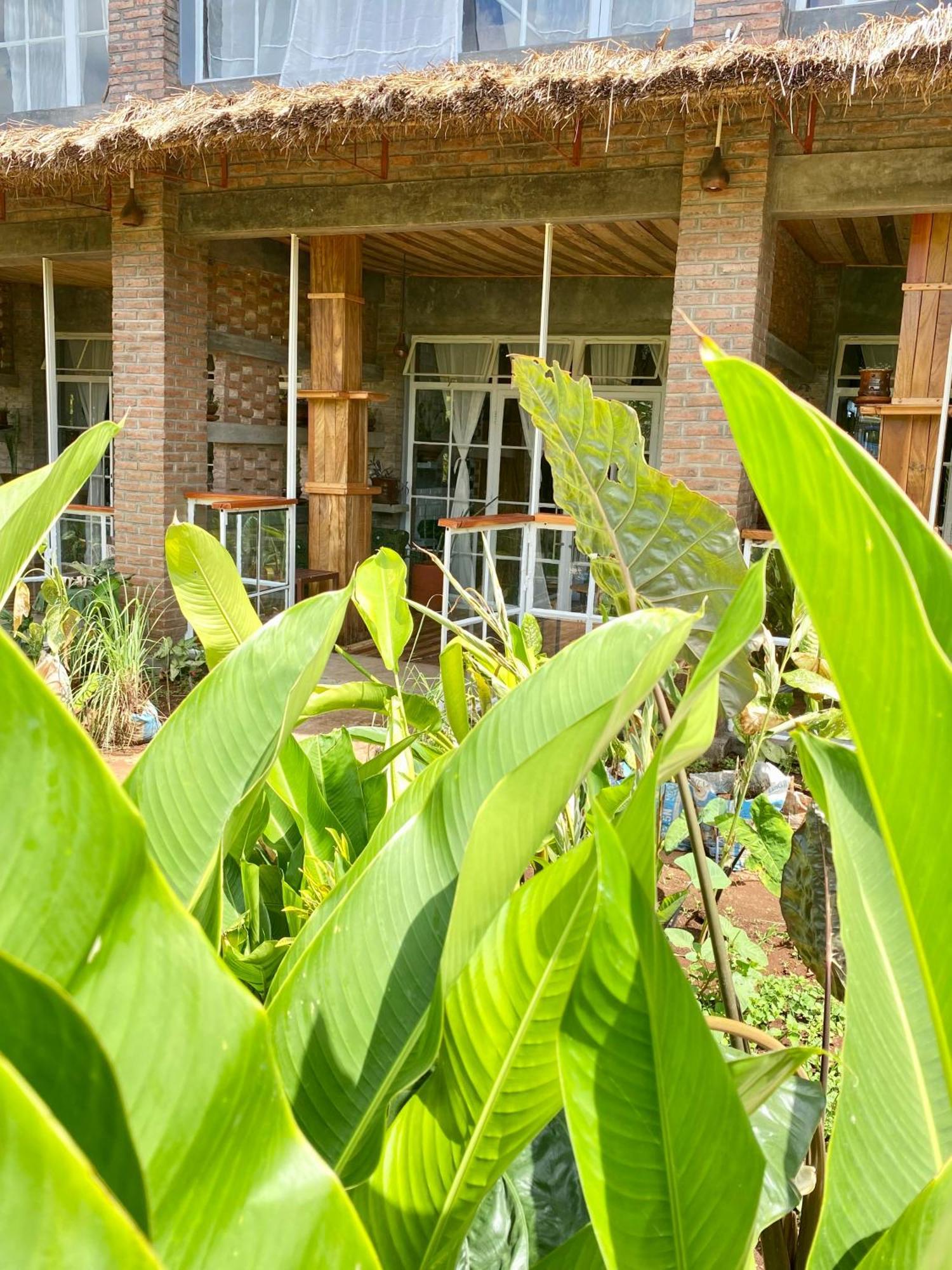 Mount Kilimanjaro 360 View Cottage Uru Bagian luar foto