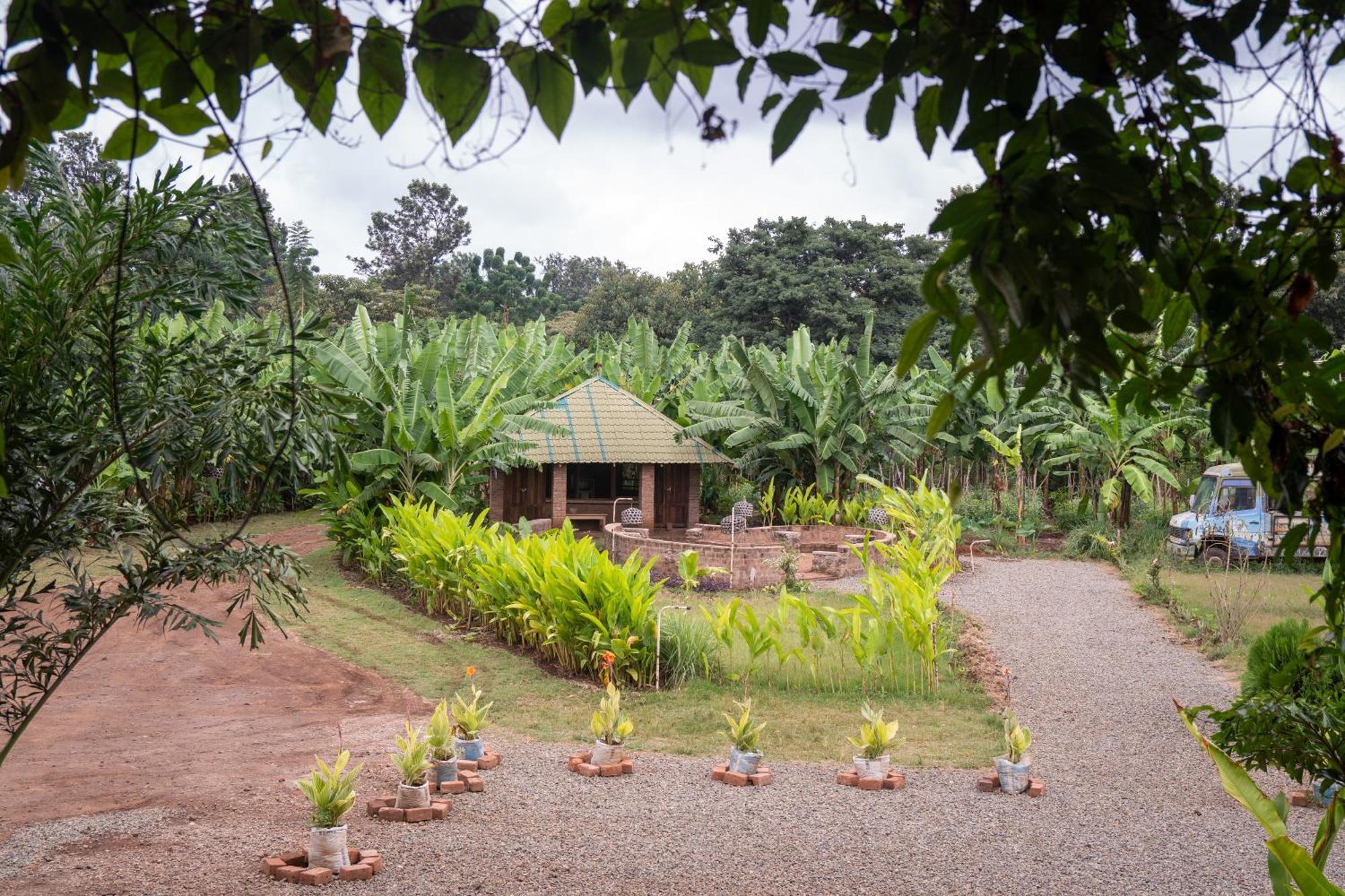 Mount Kilimanjaro 360 View Cottage Uru Bagian luar foto