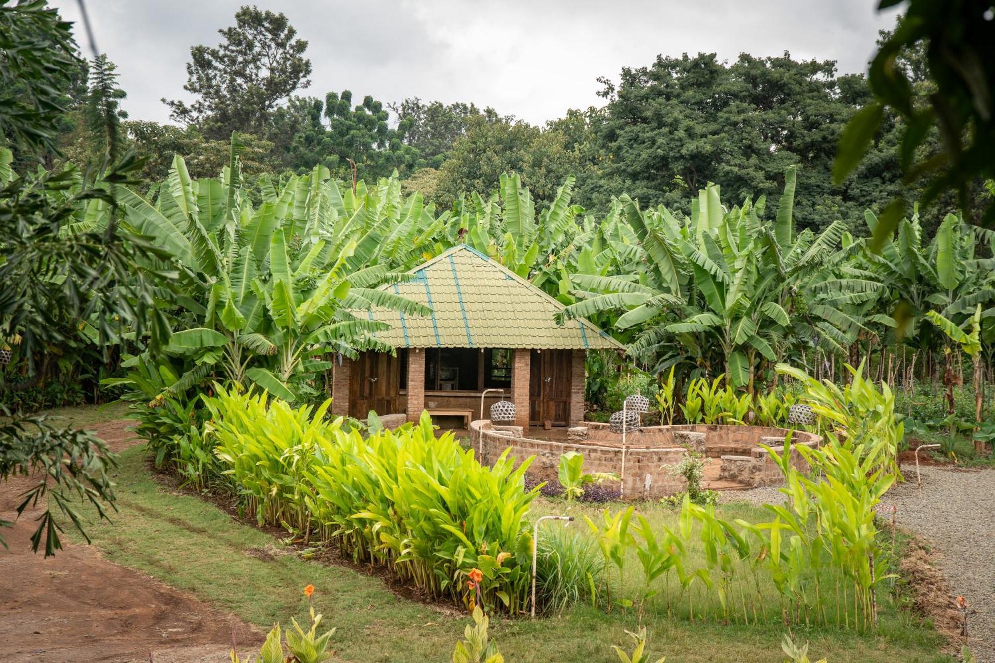 Mount Kilimanjaro 360 View Cottage Uru Bagian luar foto