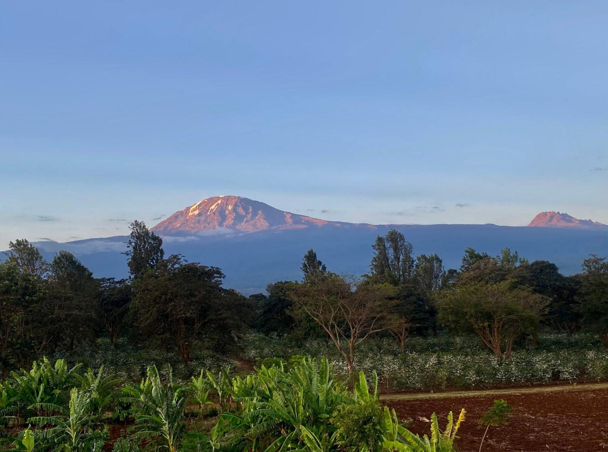 Mount Kilimanjaro 360 View Cottage Uru Bagian luar foto